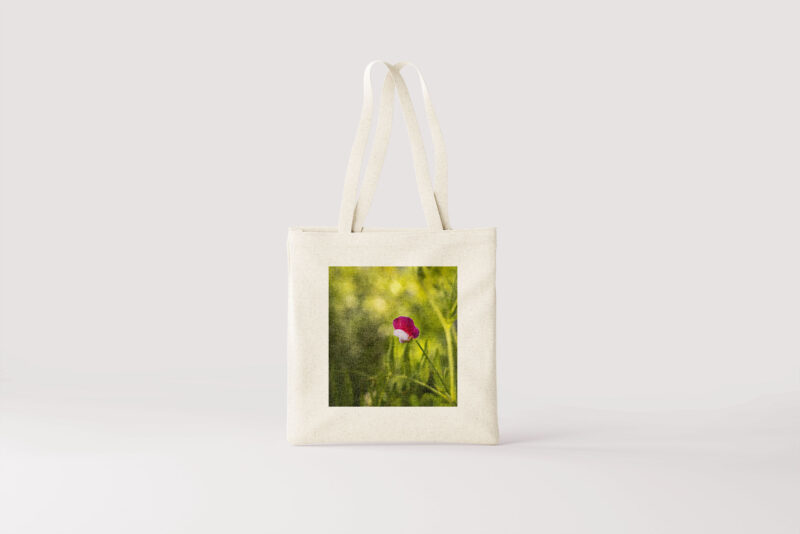 Blume